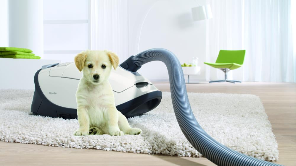 Miele Complete C3 Cat & Dog Canister Vacuum - Carmel Vacuum