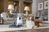 Miele Complete C3 Cat & Dog Canister Vacuum - Carmel Vacuum